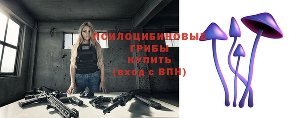 скорость Богданович