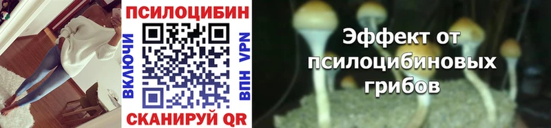 продажа наркотиков  Люберцы  Псилоцибиновые грибы Psilocybine cubensis 